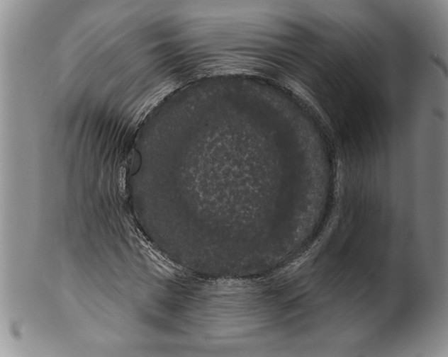 X0000101980777200808081614