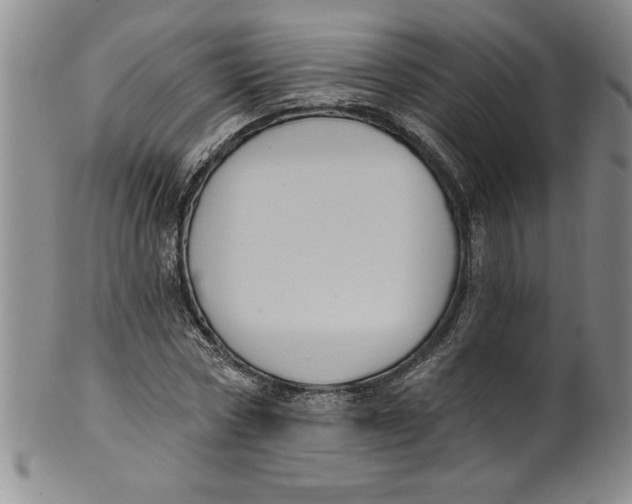 X0000101980778200808081614