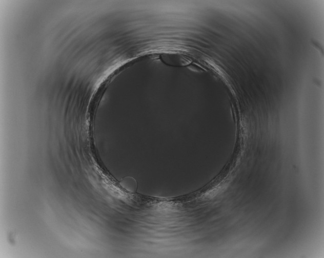 X0000101980779200808081614