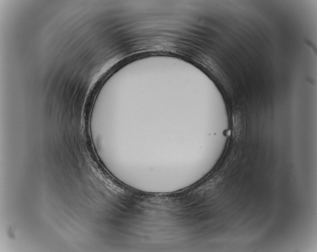 X0000101980780200808081614