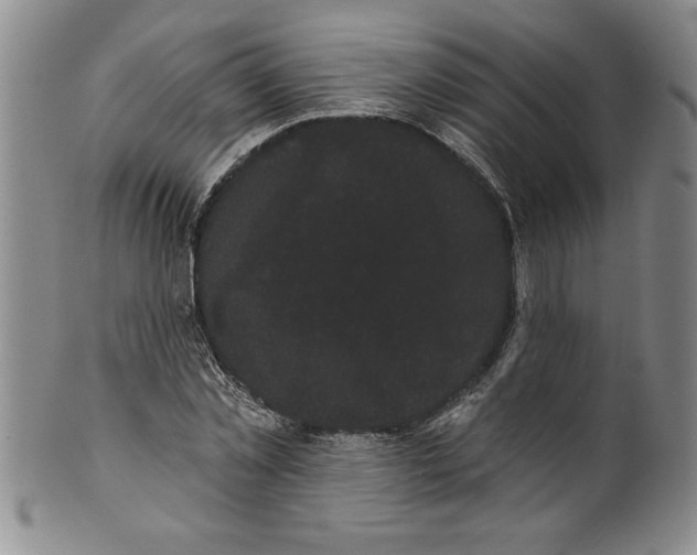 X0000101980781200808081614