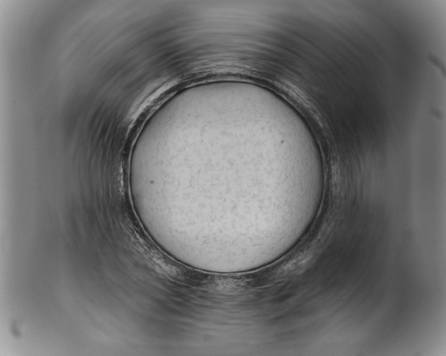 X0000101980782200808081614