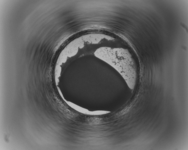 X0000101980783200808081614