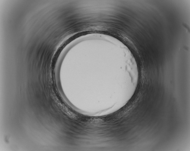 X0000101980784200808081614