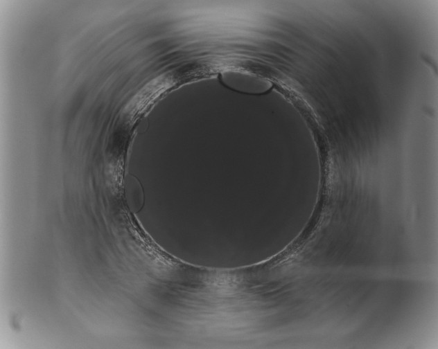 X0000101980785200808081614