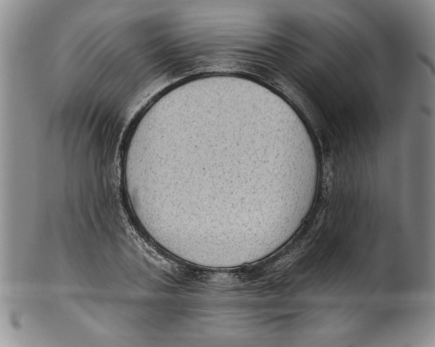 X0000101980787200808081614