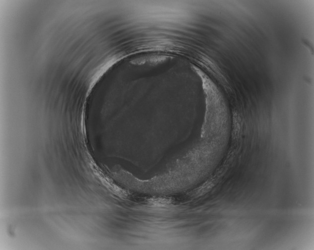 X0000101980788200808081614