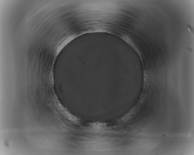 X0000101980789200808081614