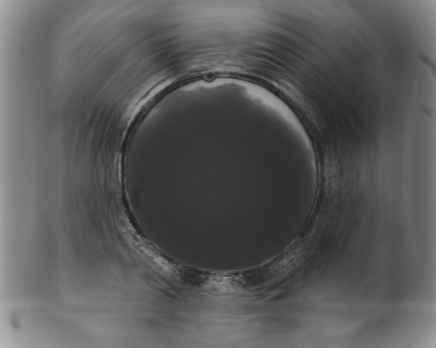 X0000101980790200808081614