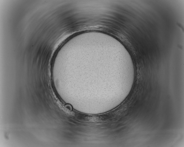 X0000101980792200808081614