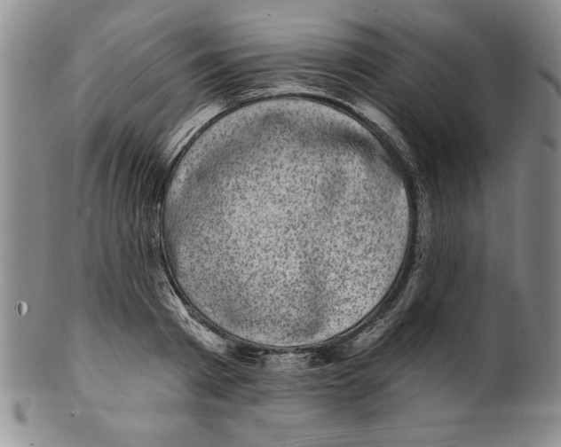 X0000101980793200808081614