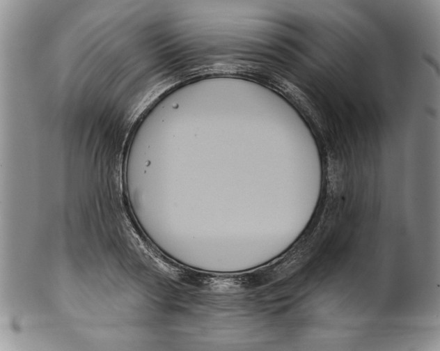 X0000101980794200808081614