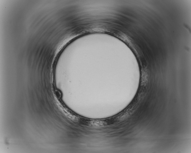 X0000101980795200808081614