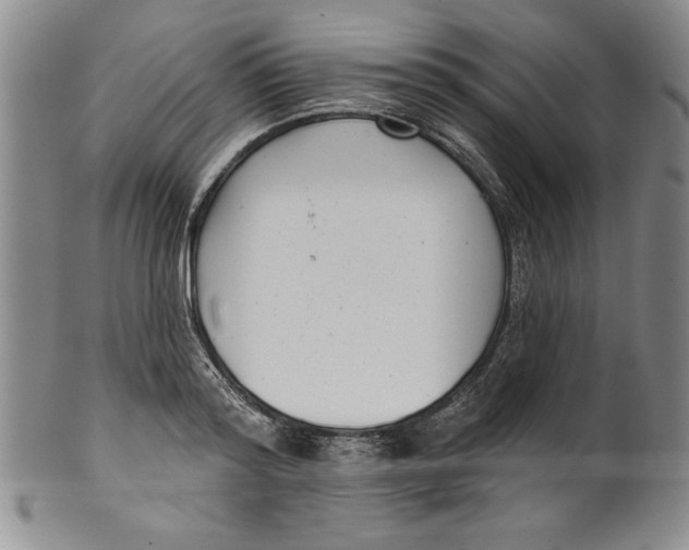 X0000101980796200808081614