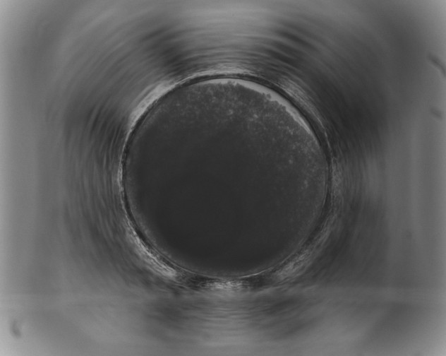 X0000101980797200808081614