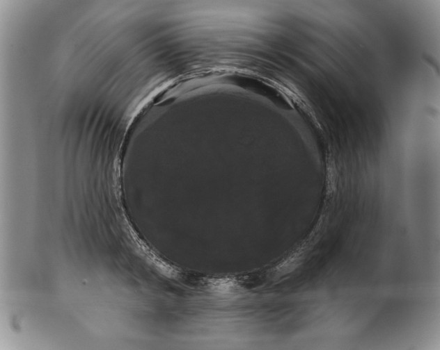 X0000101980798200808081614