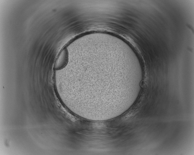 X0000101980799200808081614