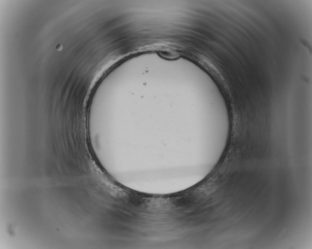 X0000101980800200808081614