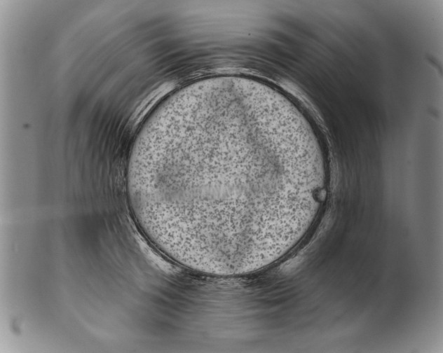 X0000101980801200808081614