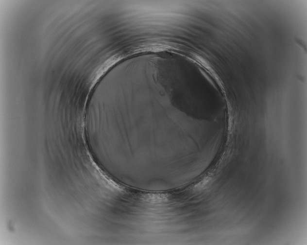 X0000101980802200808081614