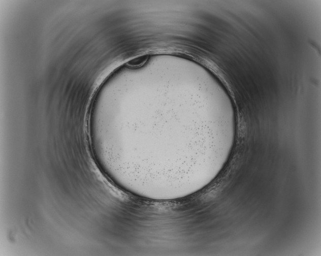 X0000101980803200808081614