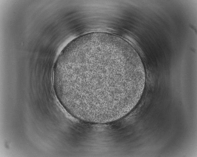 X0000101980804200808081614