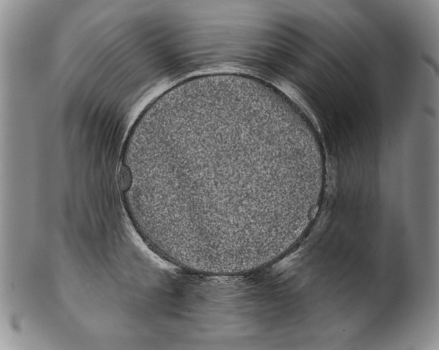 X0000101980805200808081614