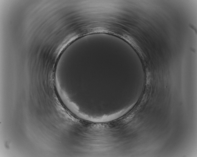 X0000101980806200808081614