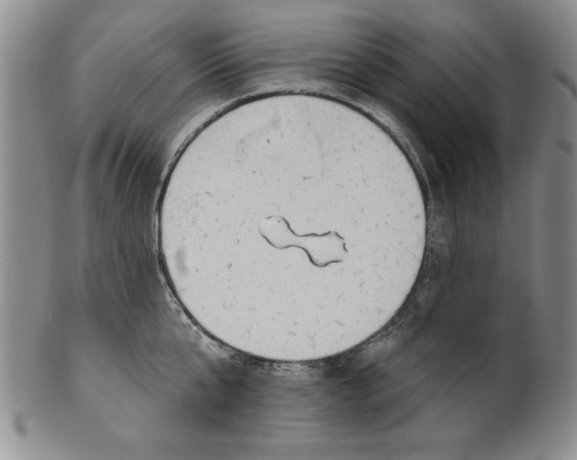 X0000101980807200808081614