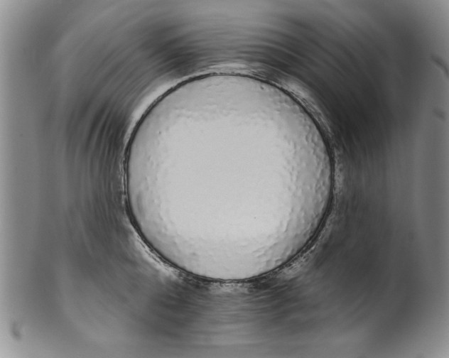 X0000101980808200808081614