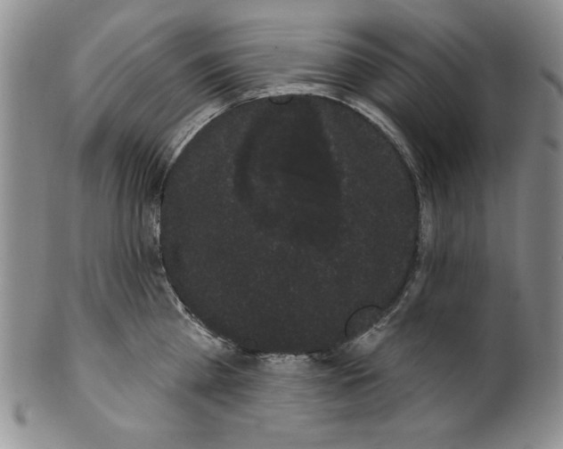 X0000101980809200808081614