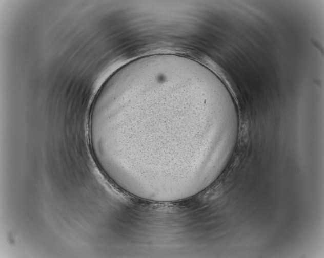 X0000101980811200808081614