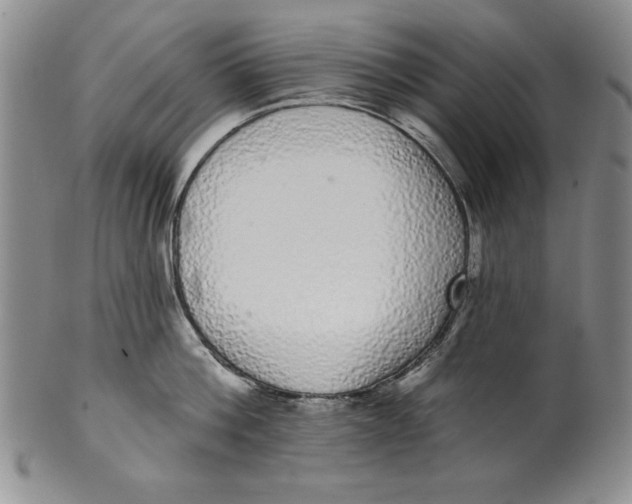 X0000101980812200808081614