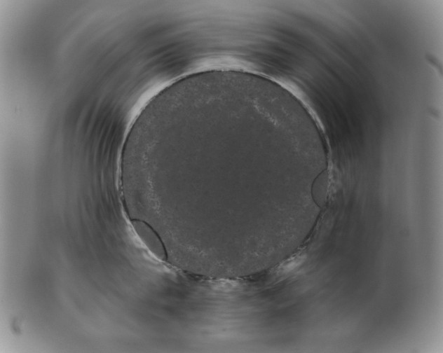 X0000101980815200808081614