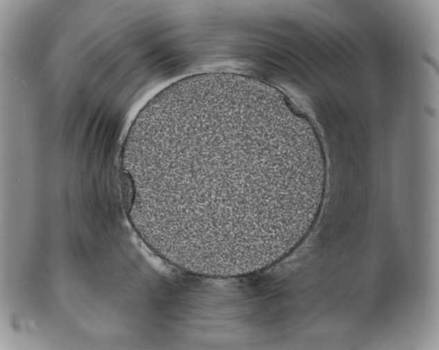 X0000101980816200808081614