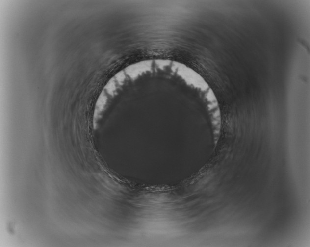 X0000101980817200808081613