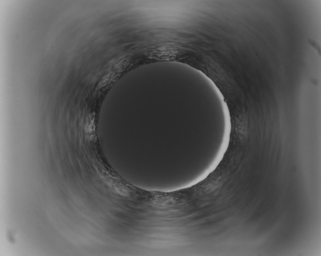 X0000101980818200808081613