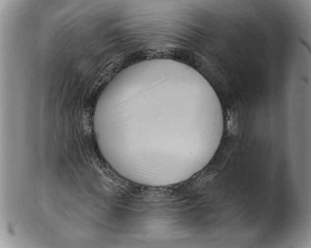 X0000101980819200808081613