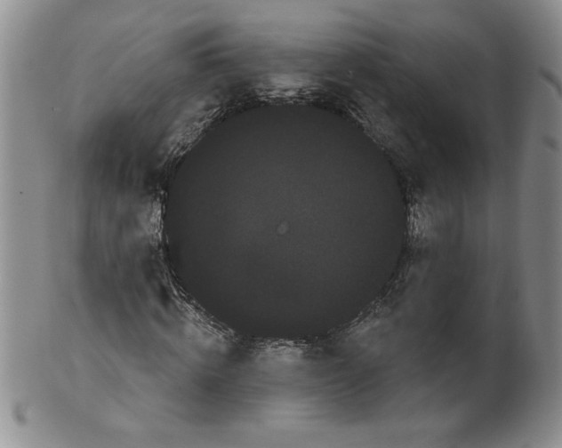 X0000101980820200808081613