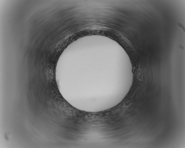 X0000101980821200808081613