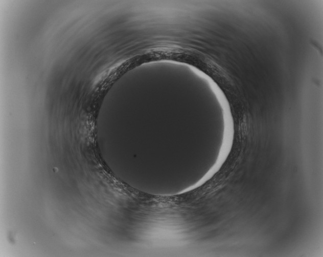 X0000101980822200808081613