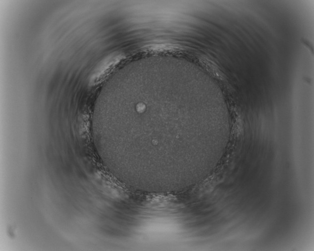 X0000101980824200808081613