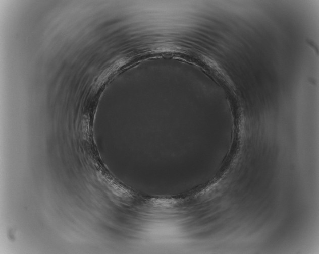 X0000101980825200808081613