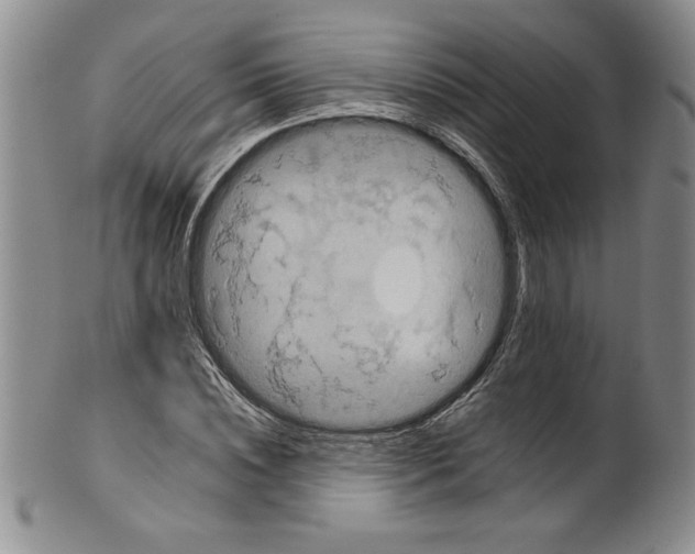 X0000101980828200808081613