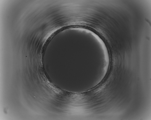 X0000101980830200808081613