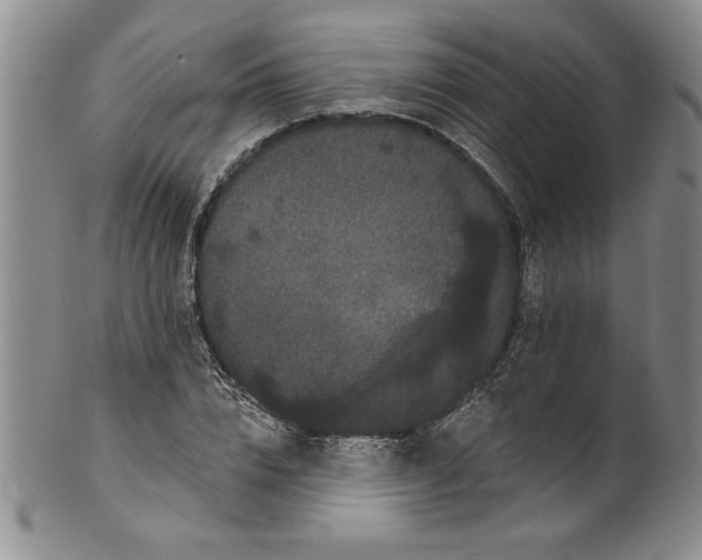 X0000101980832200808081613