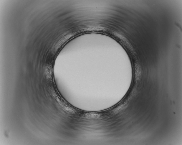 X0000101980833200808081613