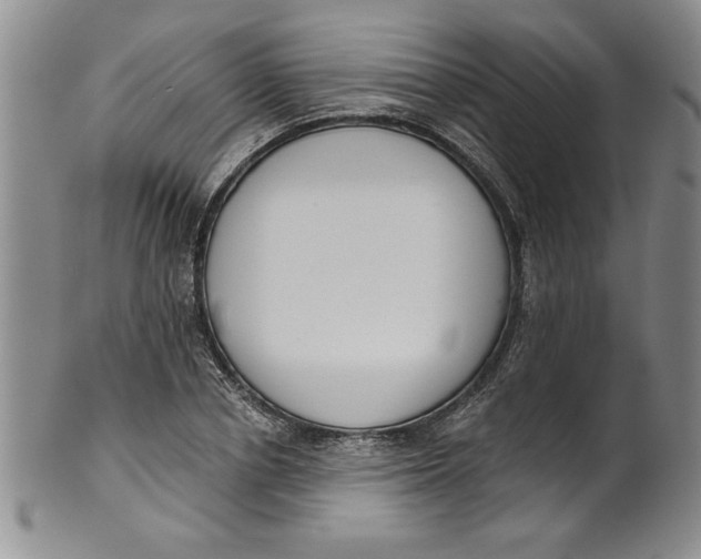 X0000101980834200808081613