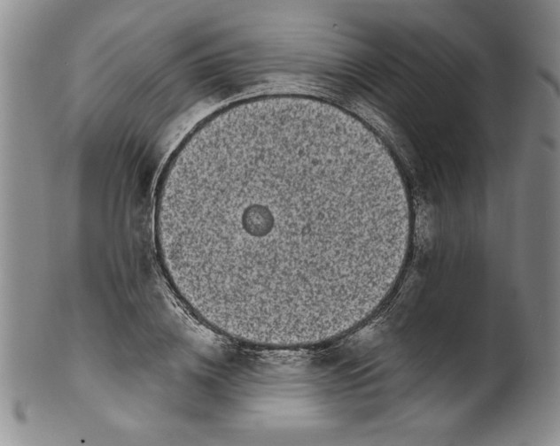 X0000101980836200808081613