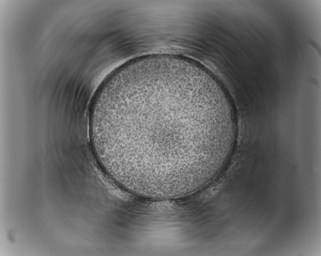 X0000101980838200808081613